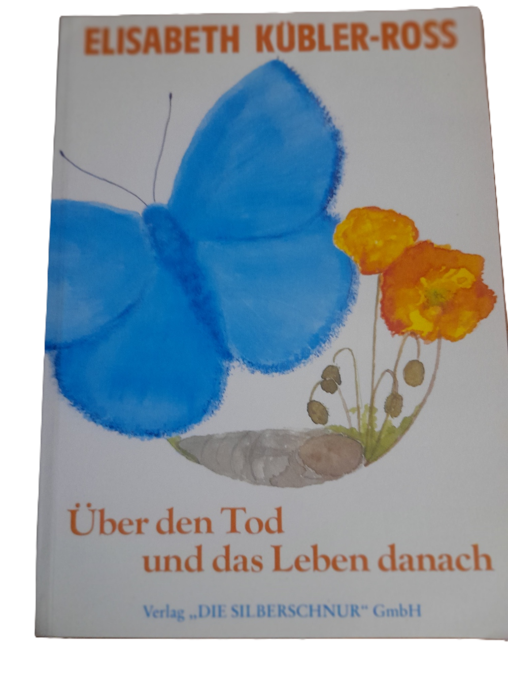 Über den Tod und das Leben danach